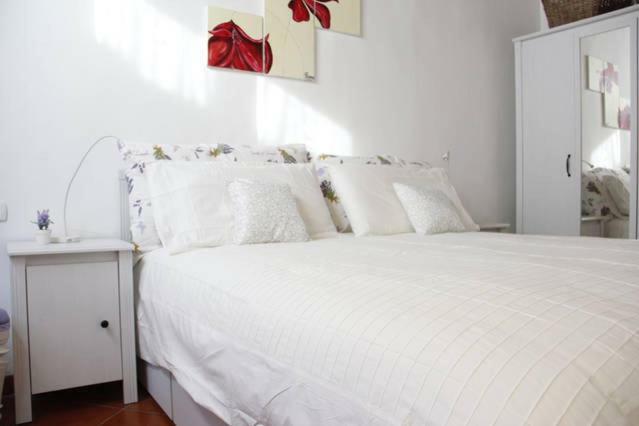 Art Apartment Santa Maria Флоренція Екстер'єр фото